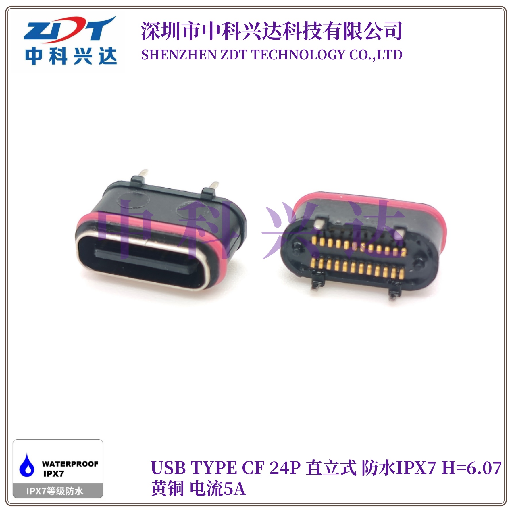TYPE-C 母座 24Pin 直立式 防水H6.07